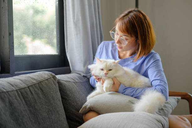 istock girl and Persian cat 2164122710