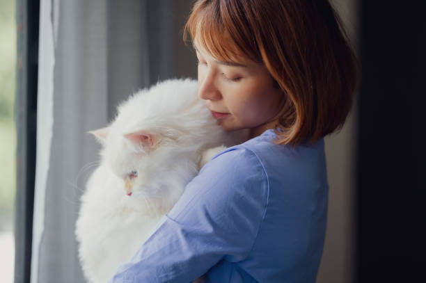 istock girl and Persian cat 2164122711