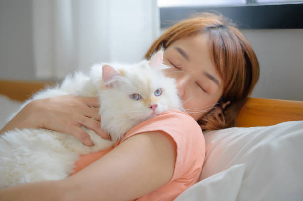 istock girl and Persian cat 2164122730