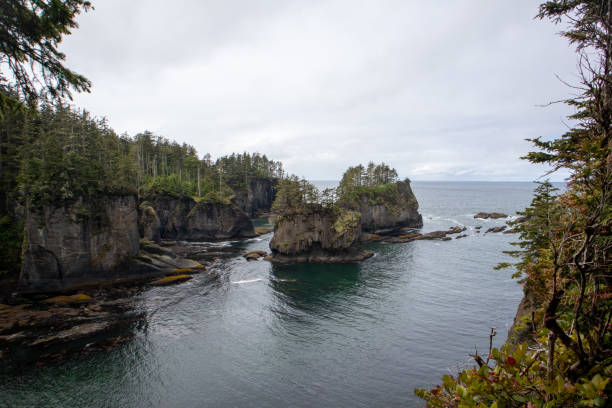 istock Distant Sea Stacks are surrounded by cliffs in the lush pacific northwest 2164124754
