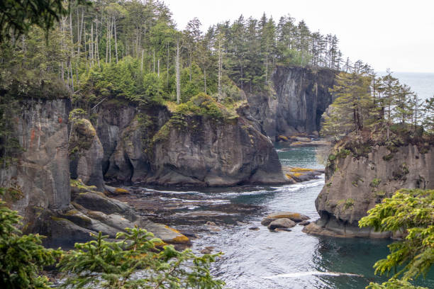 istock Sea Stacks are surrounded by cliffs in the lush pacific northwest 2164124807