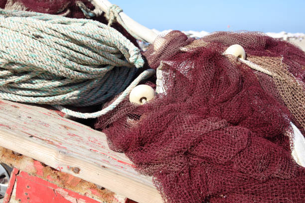 Caridges which have fisher nets close up
