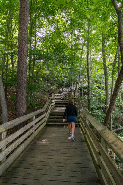 istock New River Gorge NP - Starting Up from the Overlook 2164130987