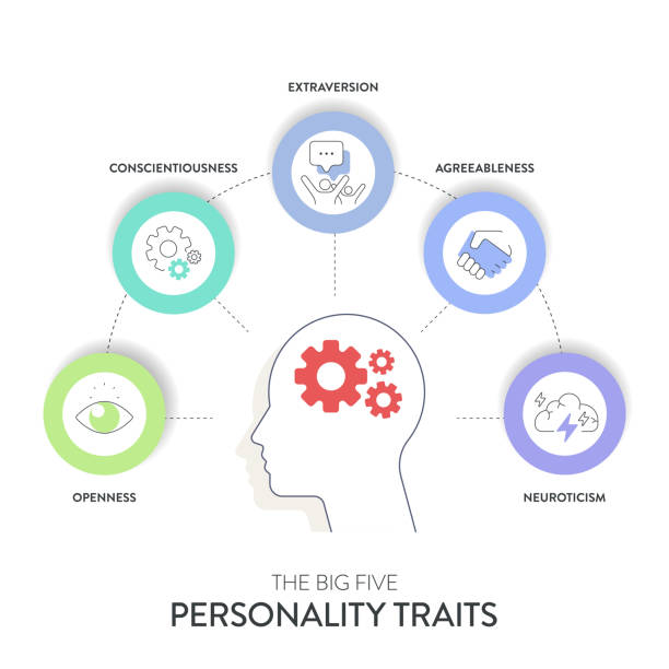 istock Big Five Personality Traits or OCEAN infographic has 4 types of personality, Agreeableness, Openness to Experience, Neuroticism, Conscientiousness and Extraversion. Mental health presentation vector. 2164131348