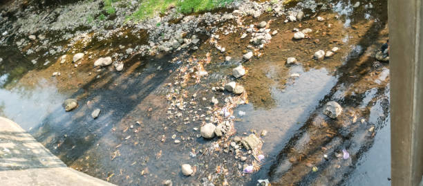 View of the river flow during the day, taken from a close range