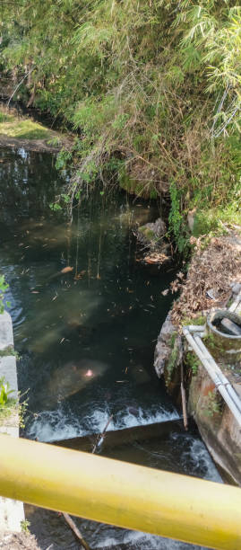 istock View of the river flow during the day 2164133009