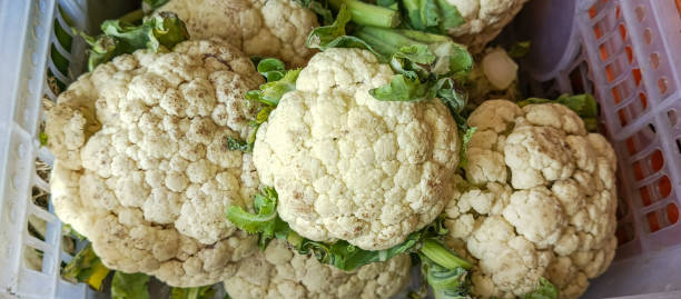 istock Cauliflower Vegetable, Cauliflower Vegetable food 2164133129