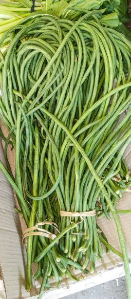 istock Black-eyed pea Legume 2164133149