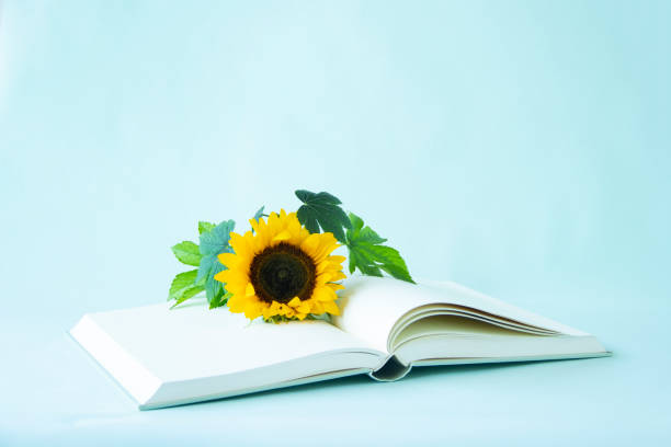 sunflower and raspberry bouquet and book with blue background.