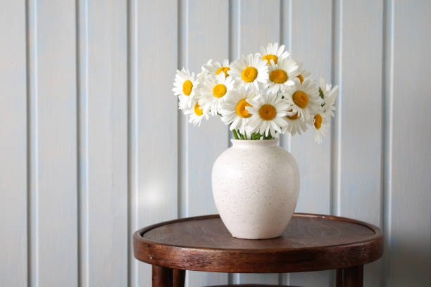 istock daisies in a potbellied vase on a table on a white board background. copy space. 2164135215