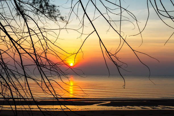 Sunrise and silhouette of tree at beach Bang Boet  Prachuap Khiri Khan Province in Thailand is famous for travel and relax