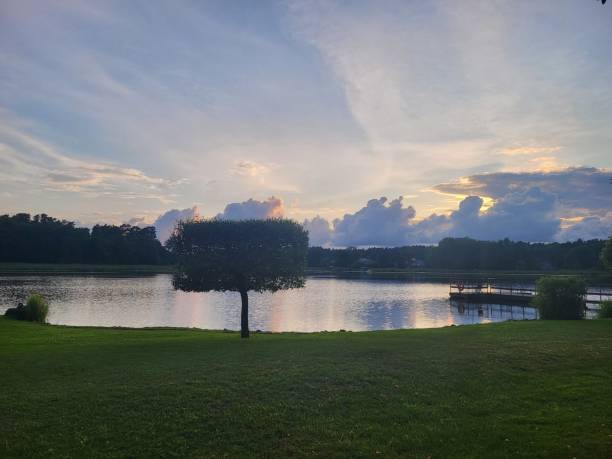 istock Dramatic sunset landscape with a lake and a tree 2164140163