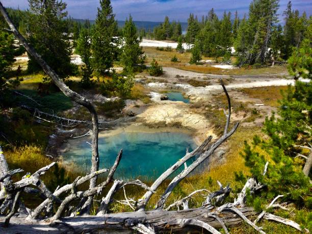 Geyser eruptions in the Yellowstone National Park, USA, UNESCO World Heritage Site