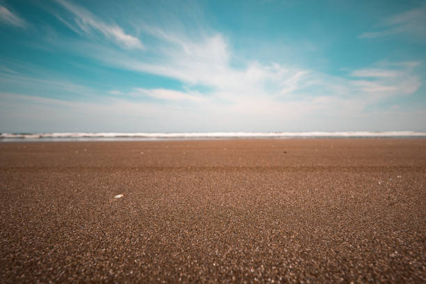 Sandy beach of the Pacific Ocean on a hot sunny day