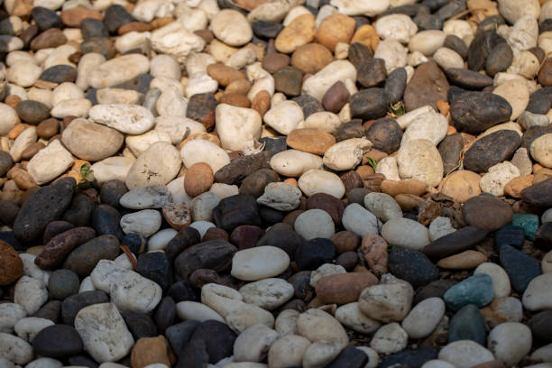Rocks of various sizes and colors on the ground