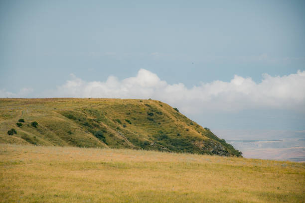 beautiful mountain in summer time