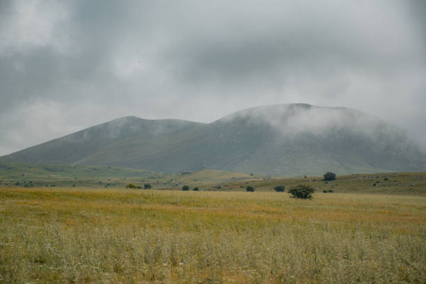 istock beautiful mountain in summer time 2164144289