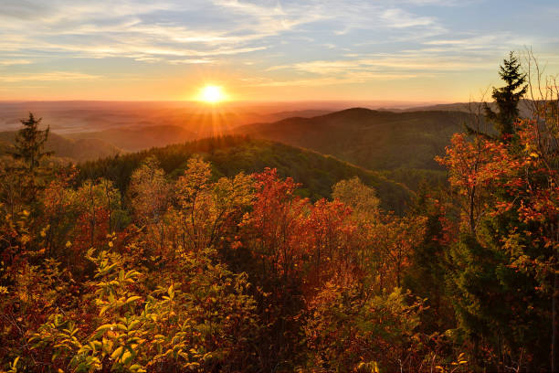 View over forest covered hills in autumn at sunset, trees with colourful leaves, Harz Mountains