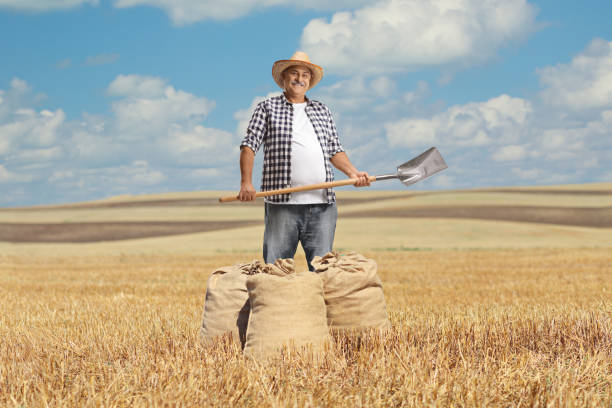 Happy mature farmer with a spade and burlap sacks standing in a field