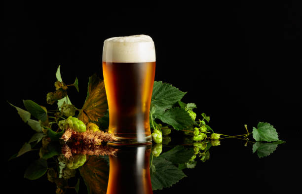 istock Beer, hops, and barley on a black background. 2164160838