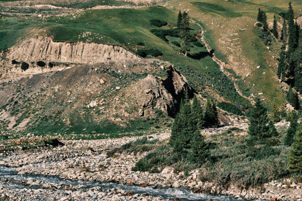 Green brightly lit riverbank in summer mountain gorge