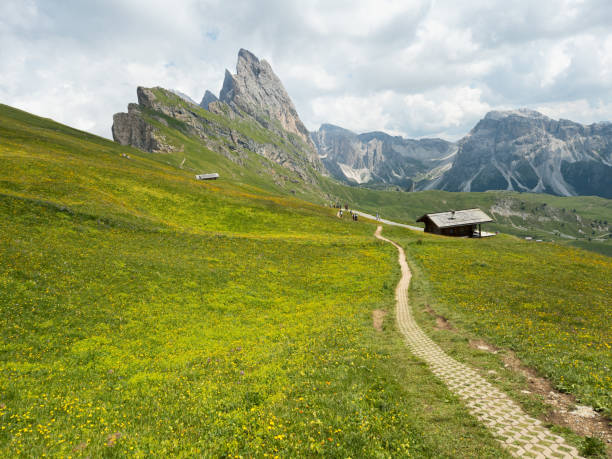 istock A view from Seceda - Odle - Val Gardena - Ortisei - Italy 2164166246