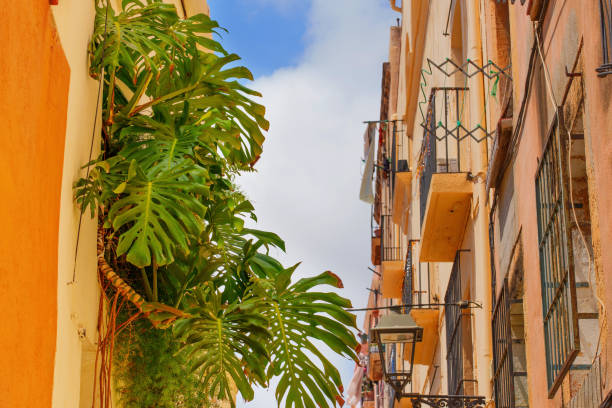 Lush greenery framing an urban landscape in Tarragona, Spain