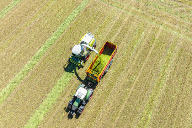 istock Tractor mowing and collecting grass in a meadow during springtime 2164166657