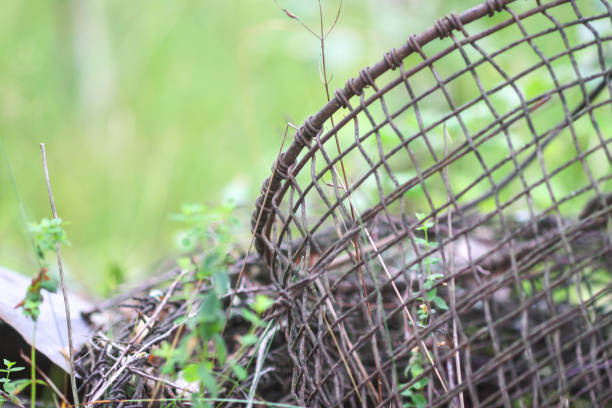 istock Old rusty metal wire. Garbage pile outdoors. 2164168023