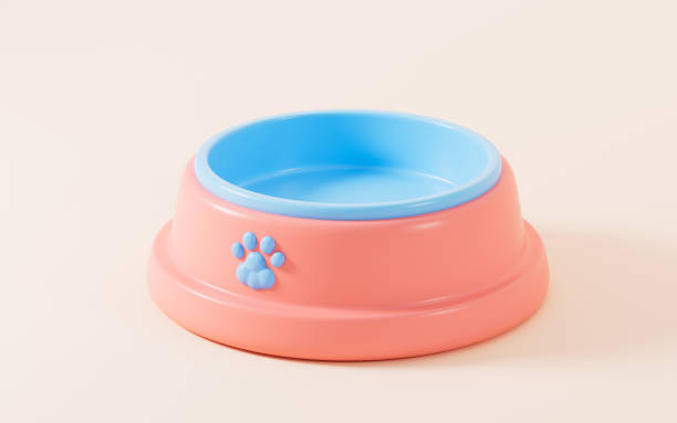 istock Cartoon pet bowl in the white background, 3d rendering. 2164168173
