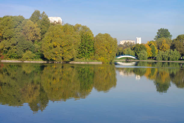 summer in city park