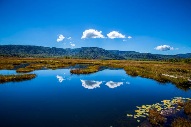 Autumn scenery of Ozegahara, Gunma Prefecture