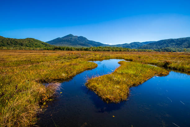 istock Autumn scenery of Ozegahara, Gunma Prefecture 2164174744