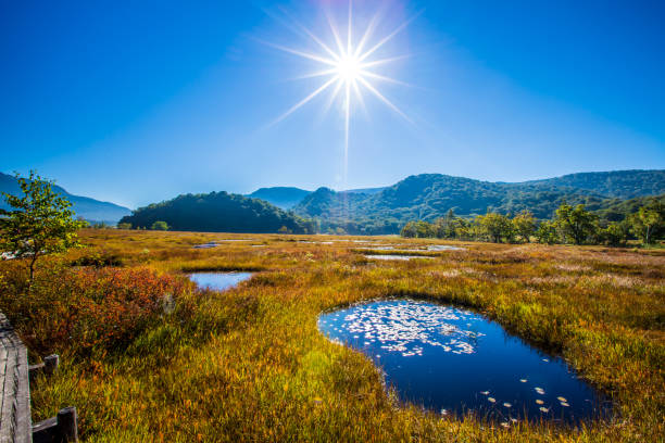 istock Autumn scenery of Ozegahara, Gunma Prefecture 2164175210