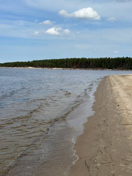 istock baltic sea beach summer waves 2164176512