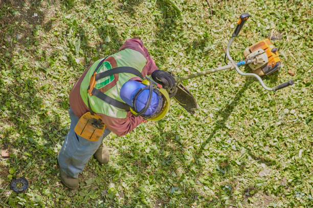 The gardener in protective gear inspects the trimmer strings before starting work.