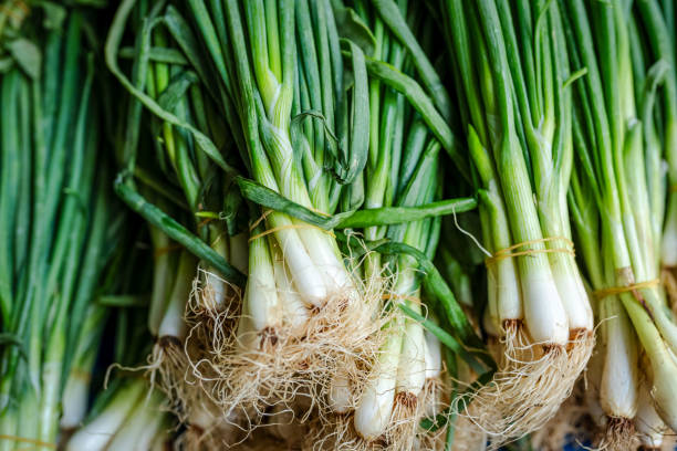 Green onion
