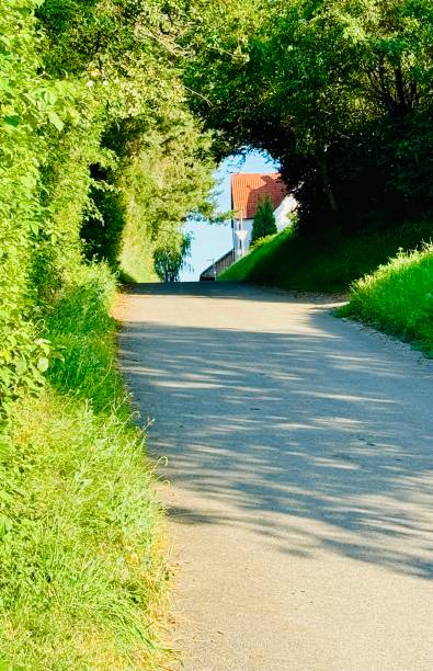 Blick