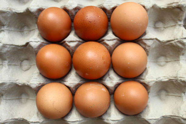 Raw chicken eggs in egg carton container close up