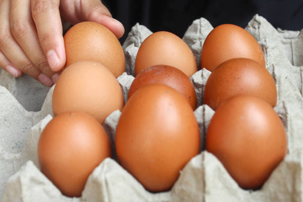 istock woman's hand taking chicken eggs in egg carton. one egg is taken to be cooked 2164185717