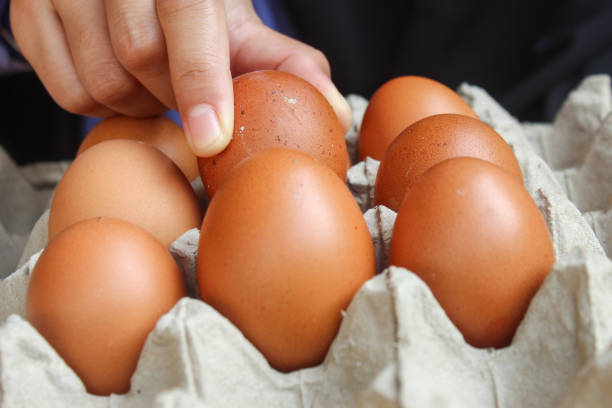 istock woman's hand taking chicken eggs in egg carton. one egg is taken to be cooked 2164185750