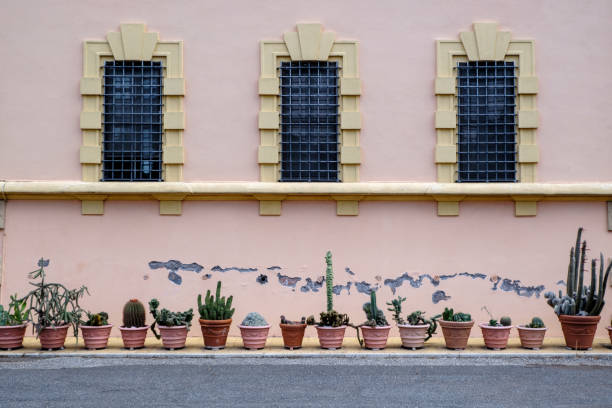 Albaicin, Granada, Province of Granada, Andalusia, Spain. A barred window with potted plants.