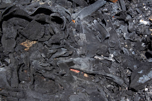 wood left over from forest fires in Sumatra Indonesia
