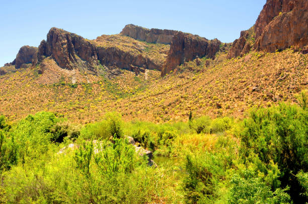 istock Salt River Recreation Area Arizona 2164194921