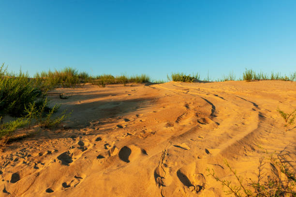 istock A trace on a sand dune from a passing car 2164195269