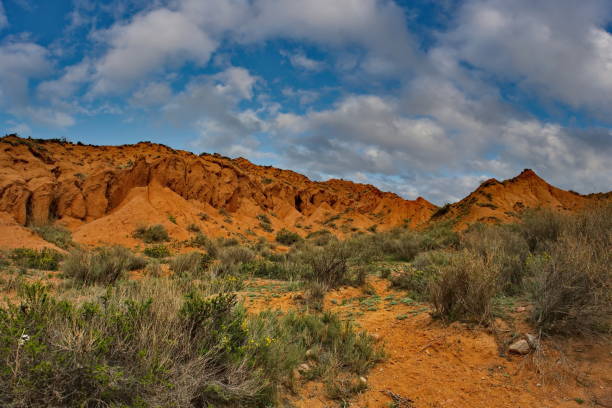 istock The unusual texture of red rocks 2164198028