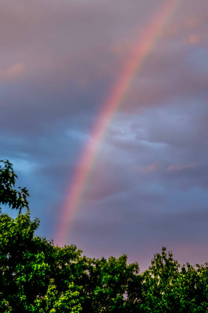 istock Bright rainbow in the blue sky after the rain 2164198756