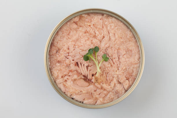 istock A product that sells processed tuna in cans for easy consumption 2164202399