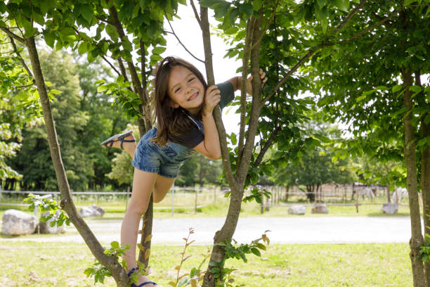 Pretty little child girl have fun in a tree. Posing for a photo.
