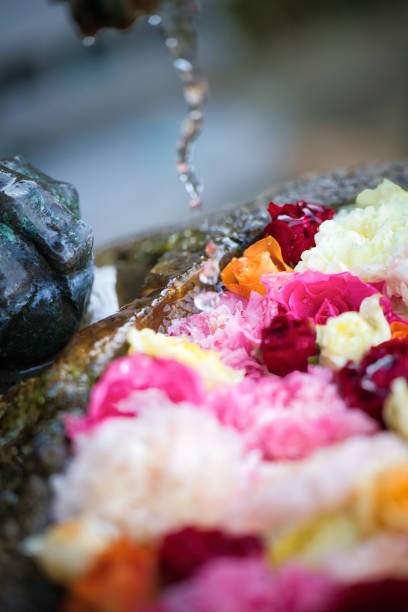 A flower water basin with colorful flowers floating in it